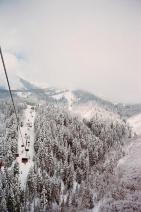 Park City Gem at Red Pine! Cozy Ski Condo with Heated Pools and Hot Tubs! B4 condo